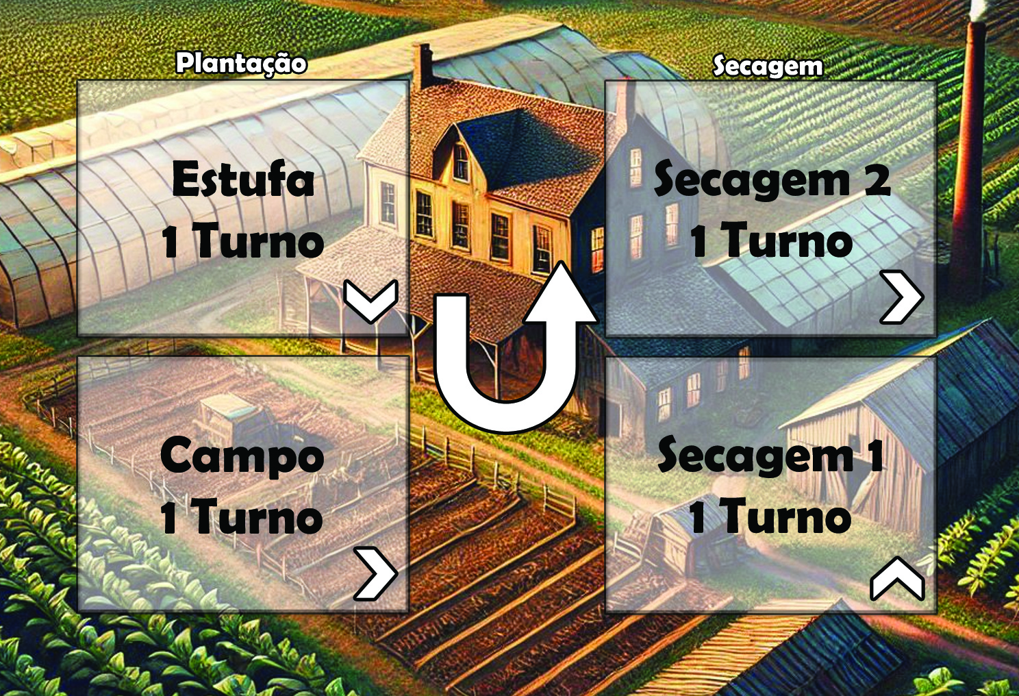 carta_80x120mm_fazenda_01_plantação_secagem.jpg